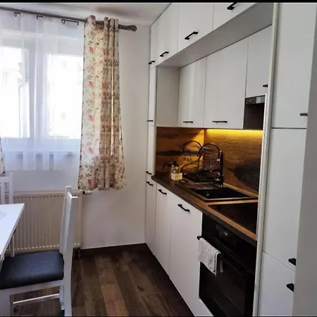 Apartament Czarny Potok Apartment Krynica Zdroj